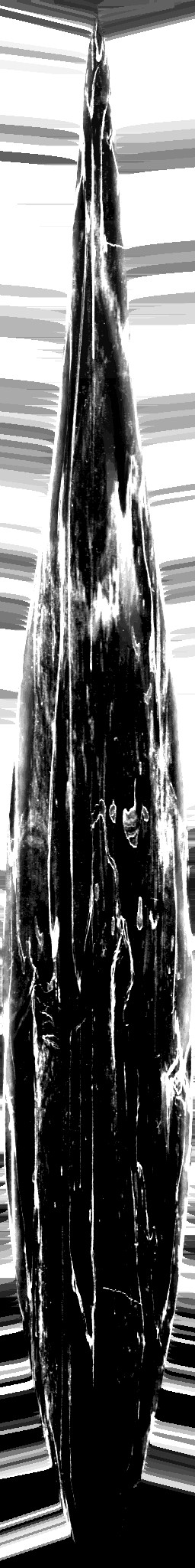 AET301_213_1m.jpg