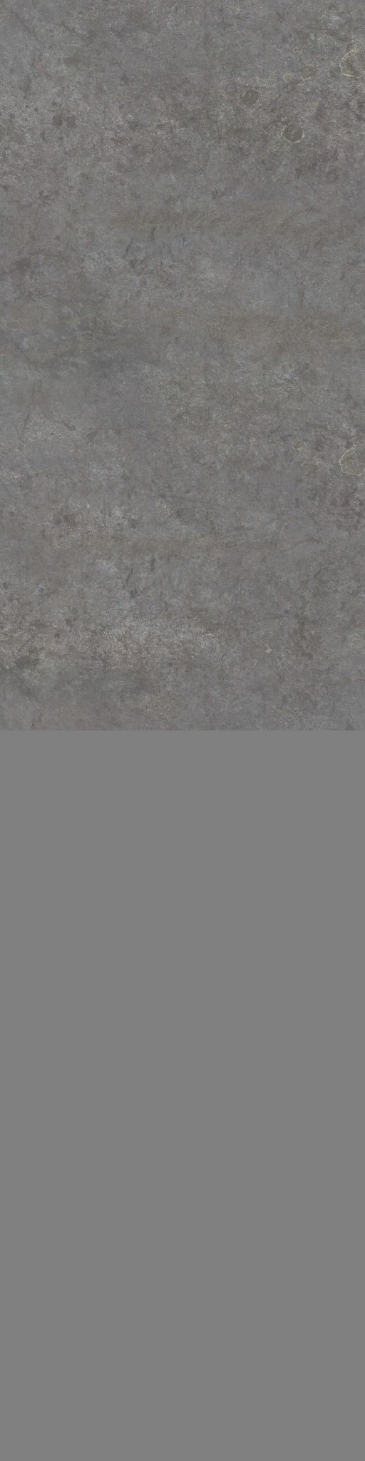 AET400_114_a.jpg