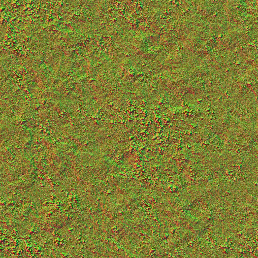 AET400_288_n.jpg