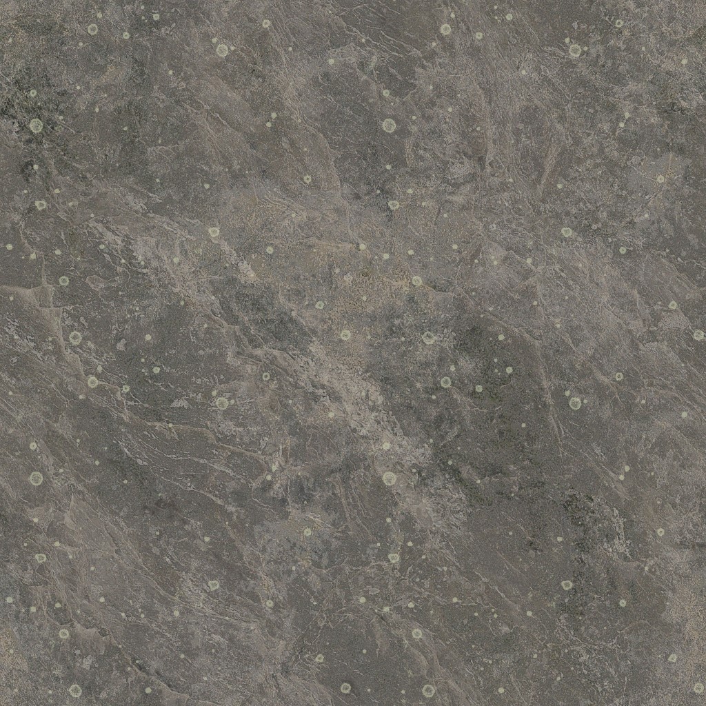 AET401_122_a.jpg