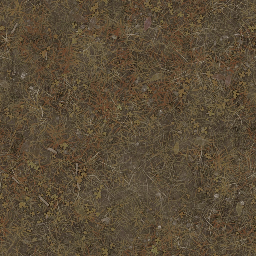 AET410_117_a.jpg