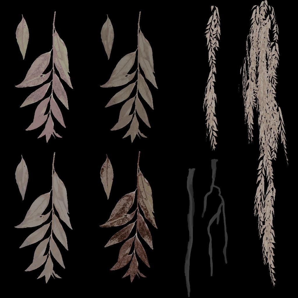 AET410_154_a.jpg