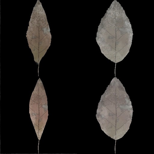 AET410_164_a.jpg