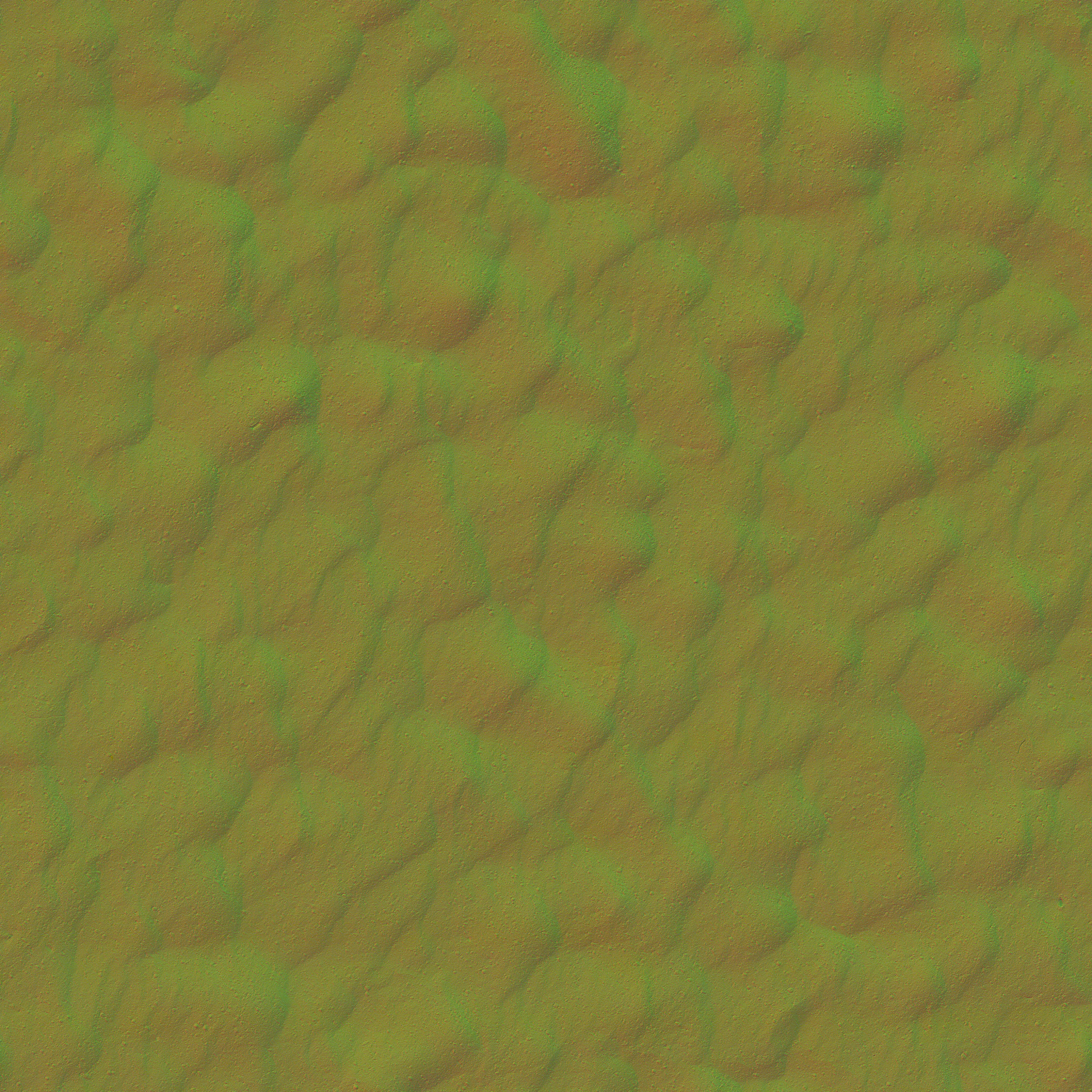 AET410_222_n.jpg