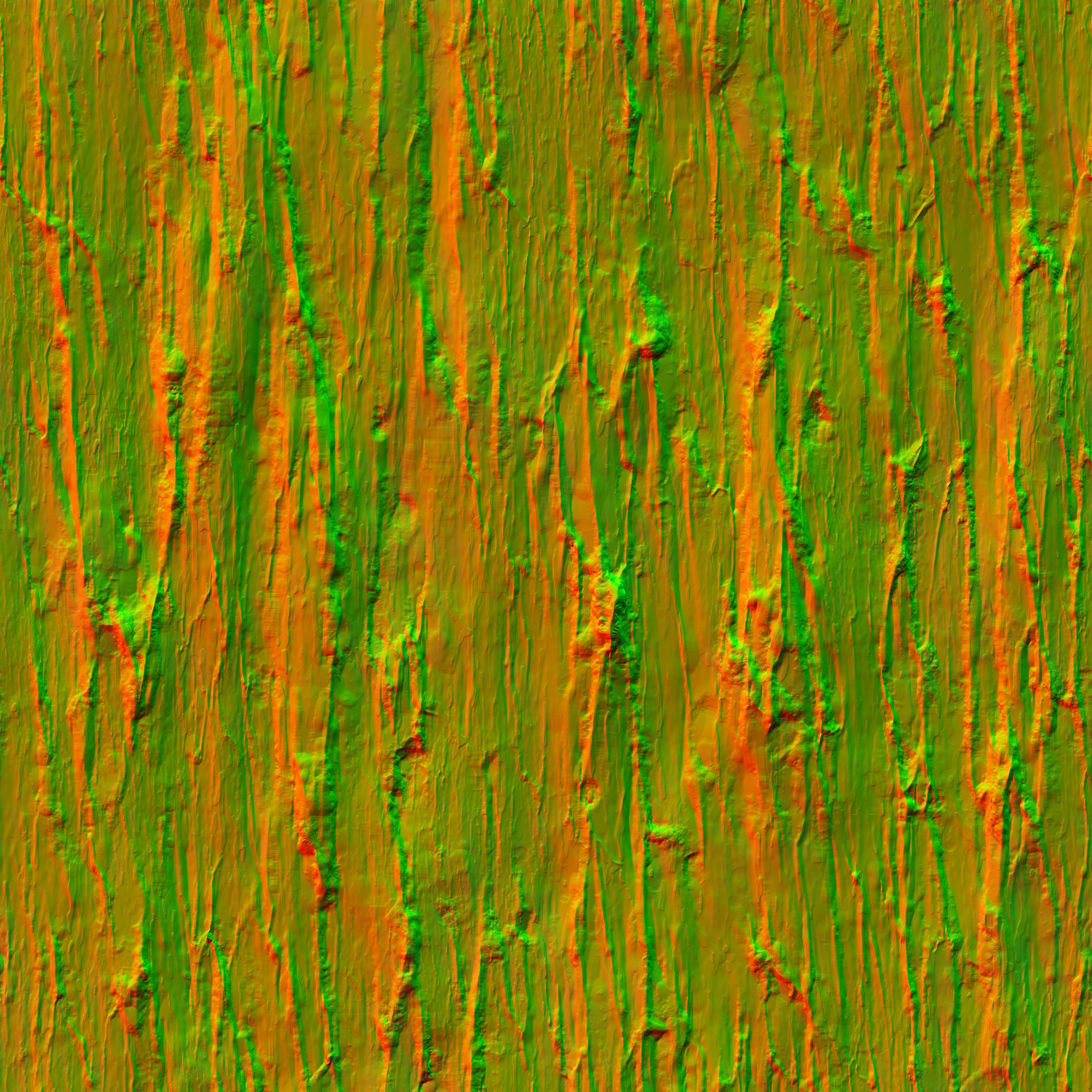 AET410_543_n.jpg