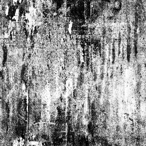 AET410_989_1m.jpg
