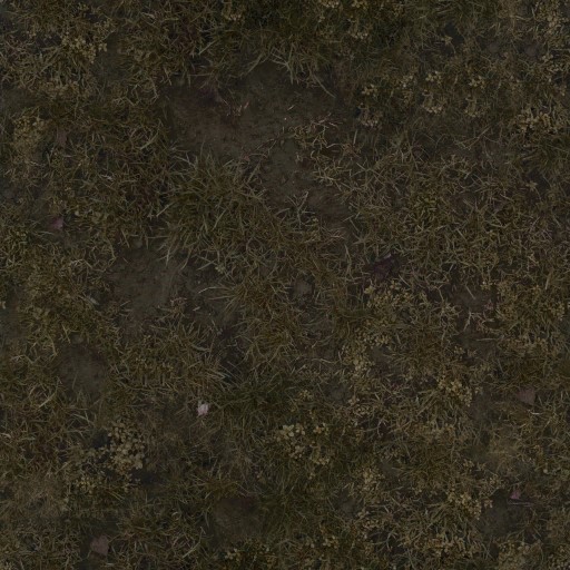 AET420_044_a.jpg