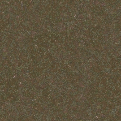 AET420_421_a.jpg