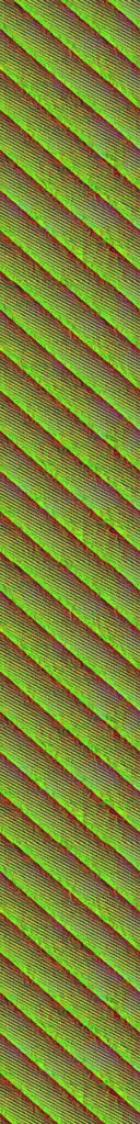 AET420_451_n.jpg