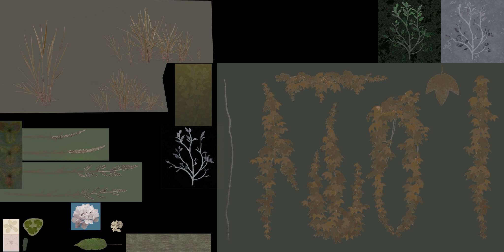 AET420_600_a.jpg