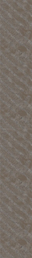 AET443_205_a.jpg