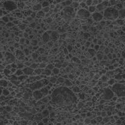 AET443_282_a.jpg