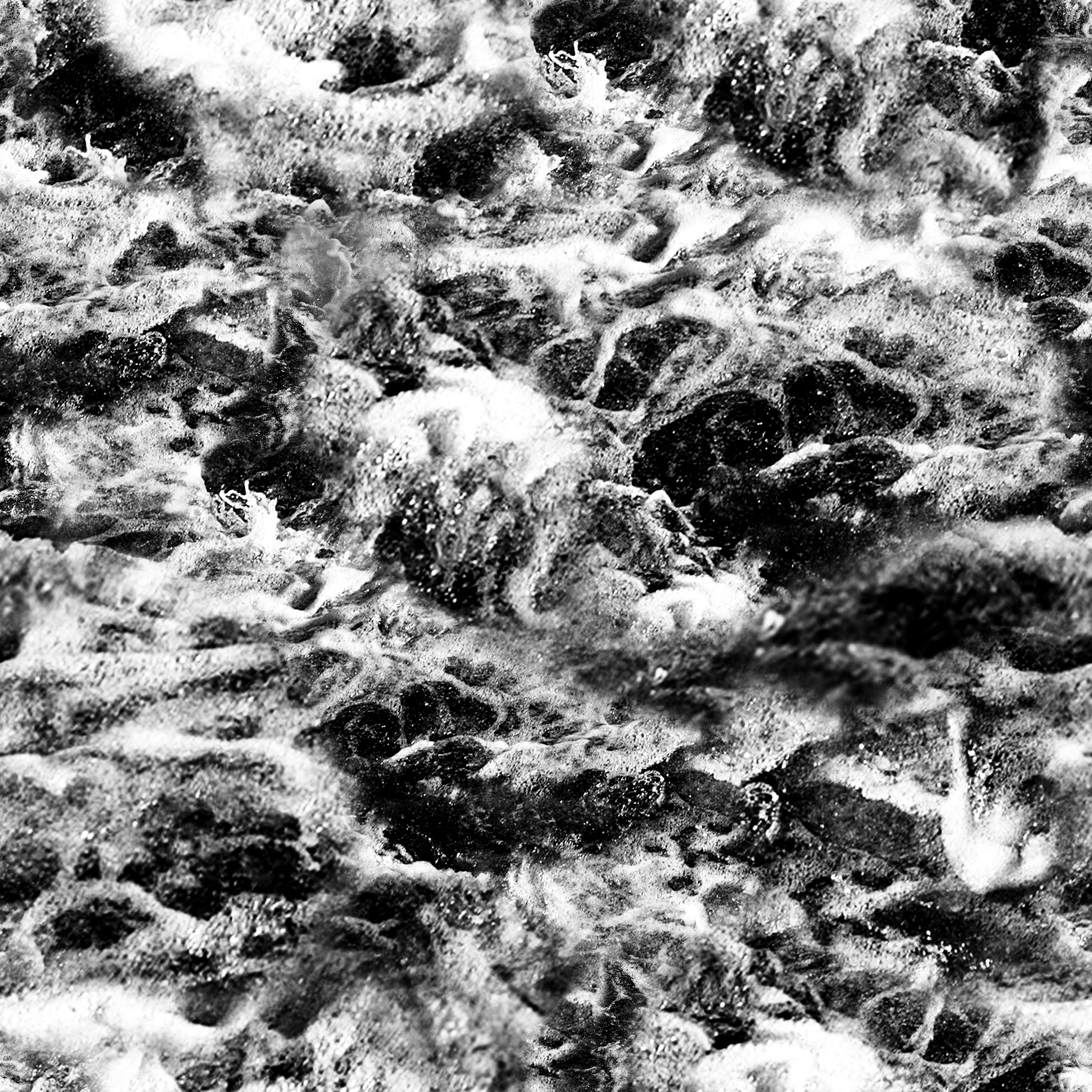 AET462_007_1m.jpg