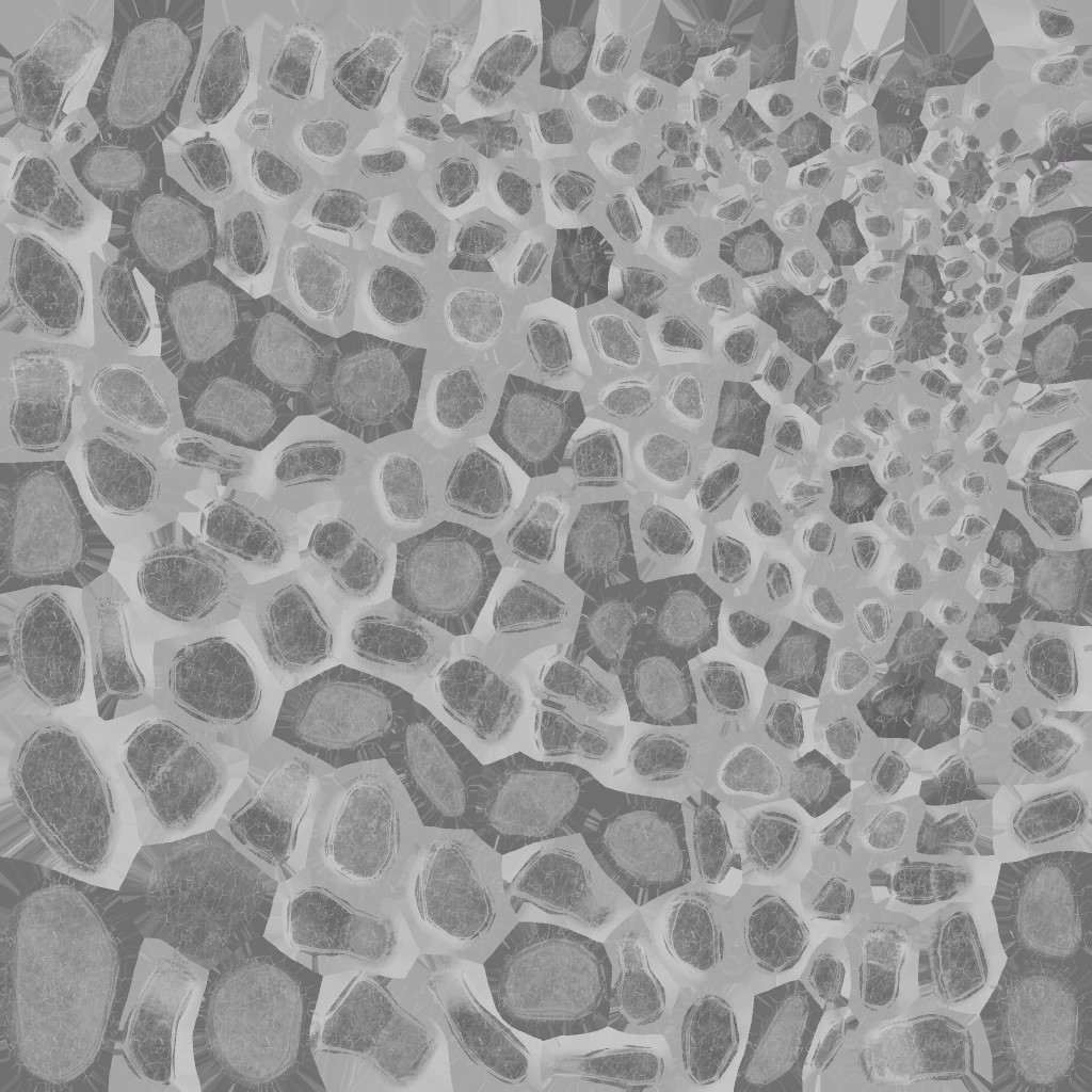 AET468_023_a.jpg