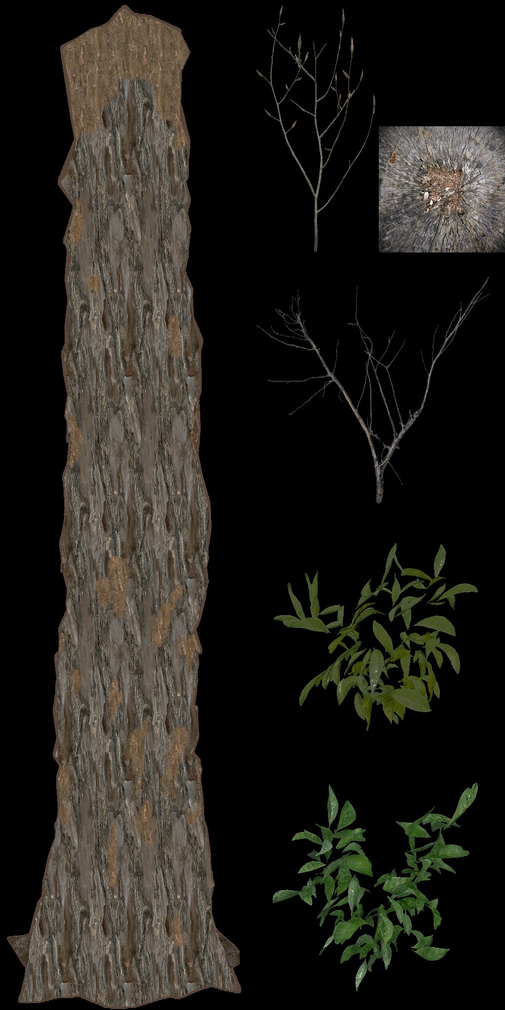 AET490_030_a.jpg