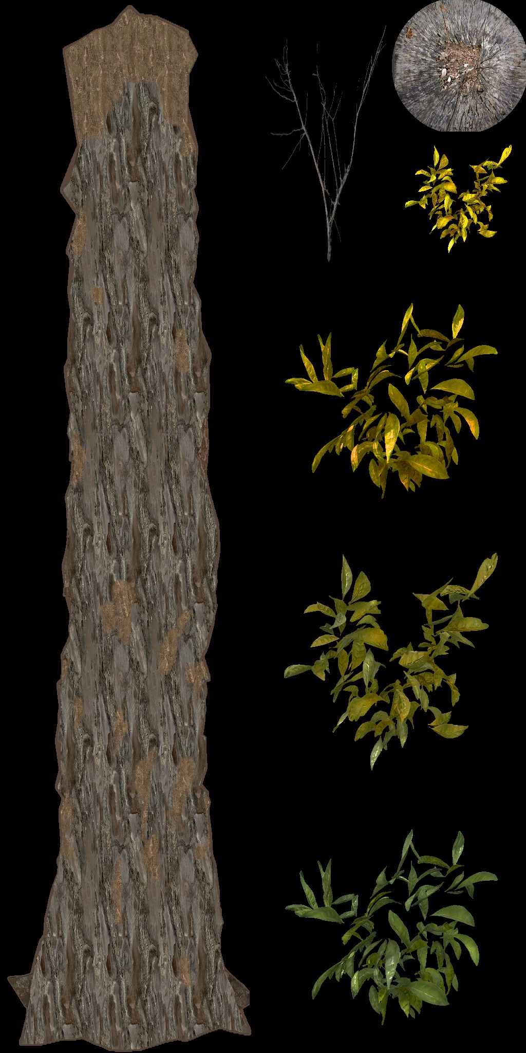 AET490_110_a.jpg