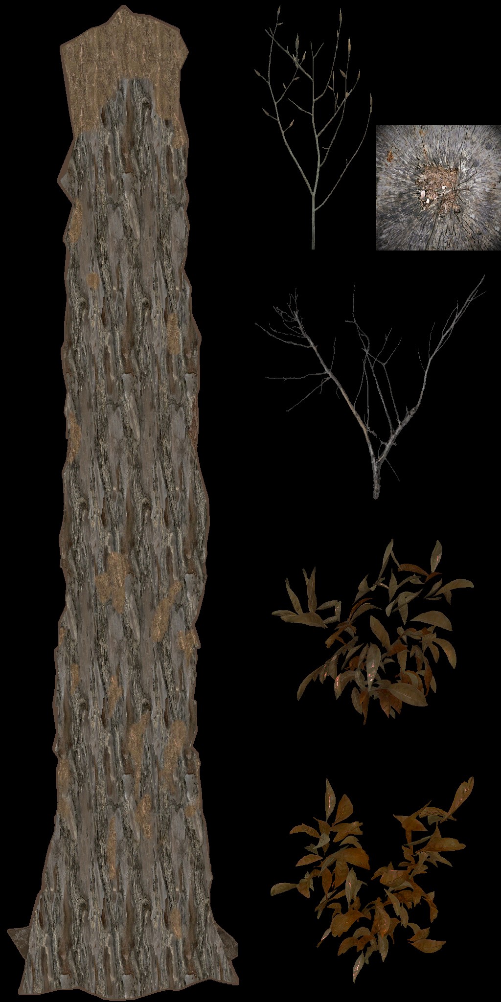 AET490_250_a.jpg