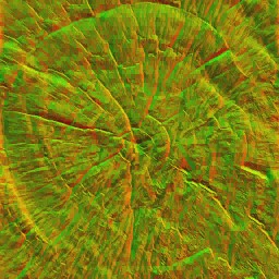 AET490_999_n.jpg