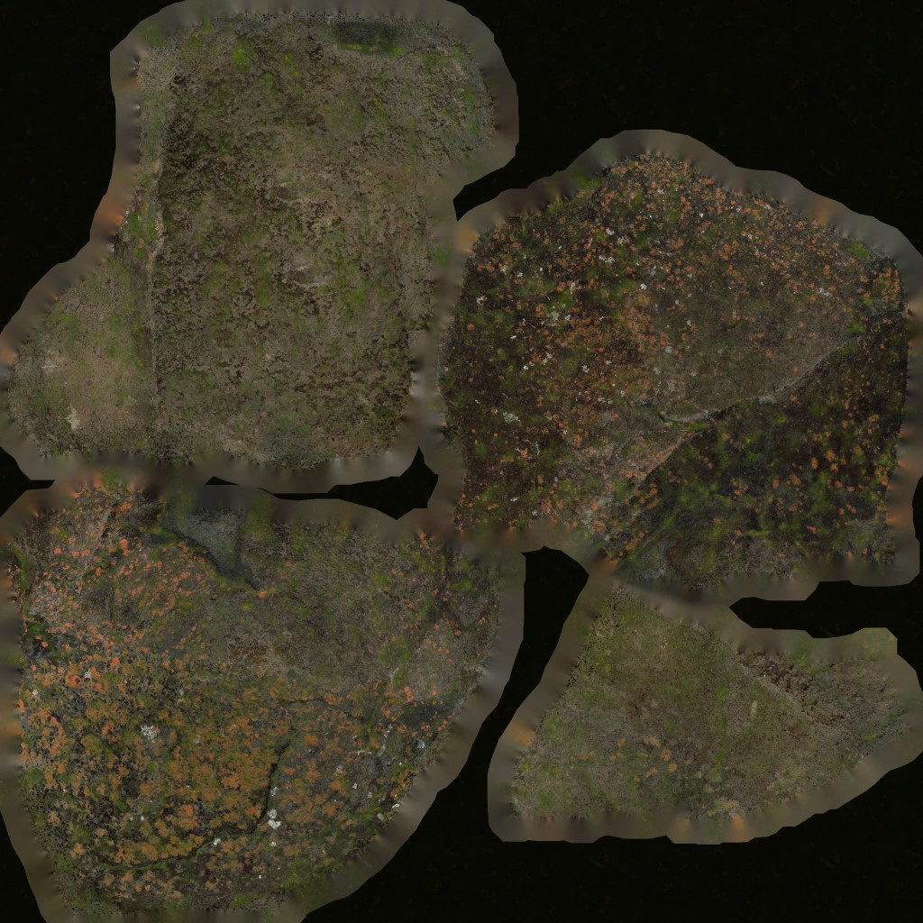 AET657_002_a.jpg