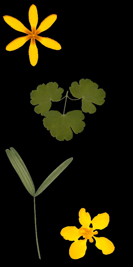 AET700_218_a.jpg