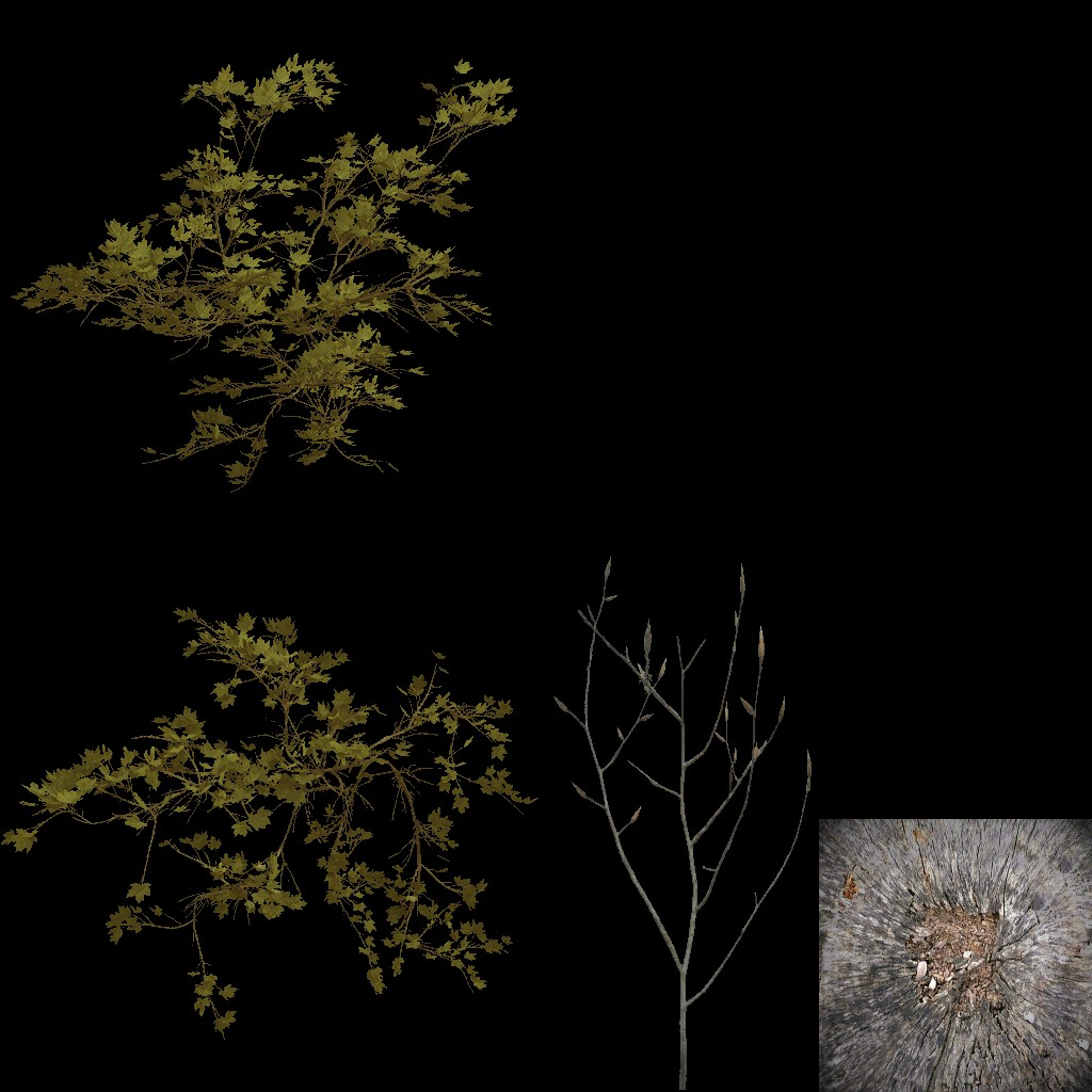 AET801_010_a.jpg