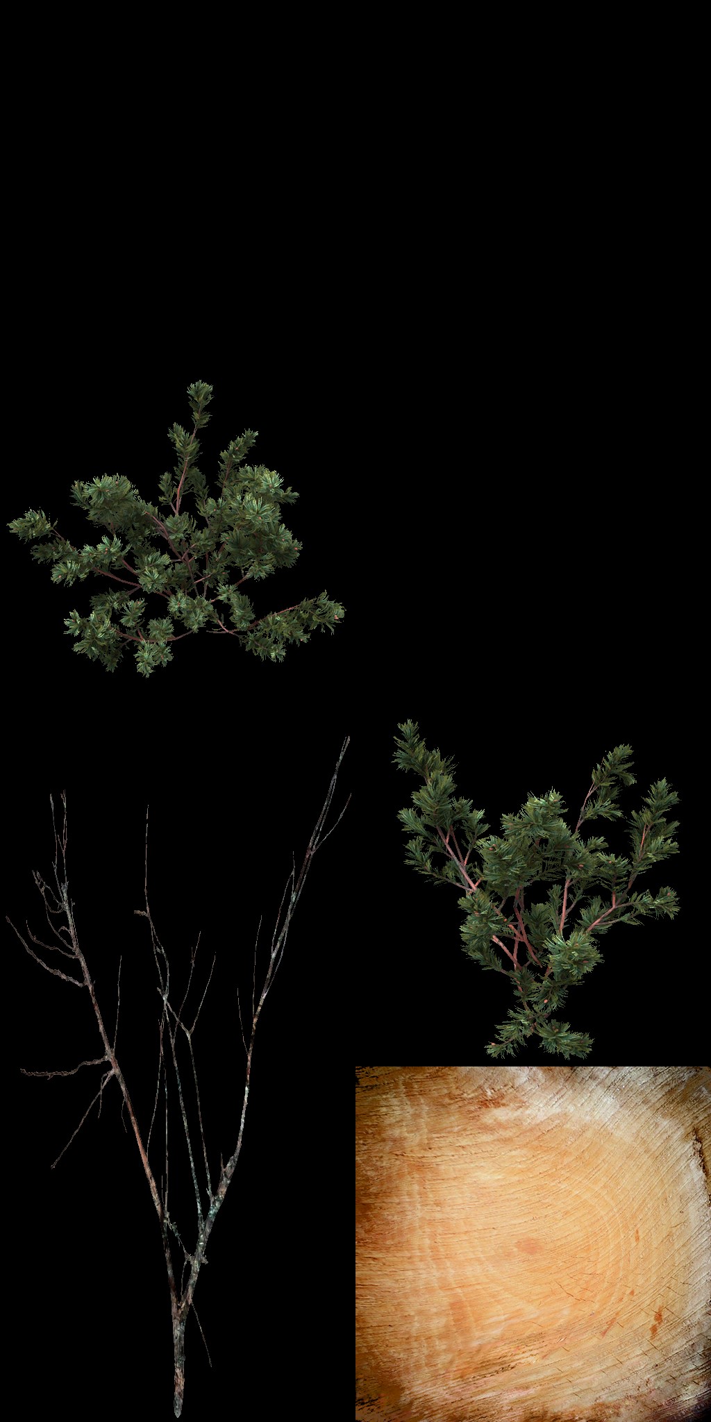 AET801_110_a.jpg