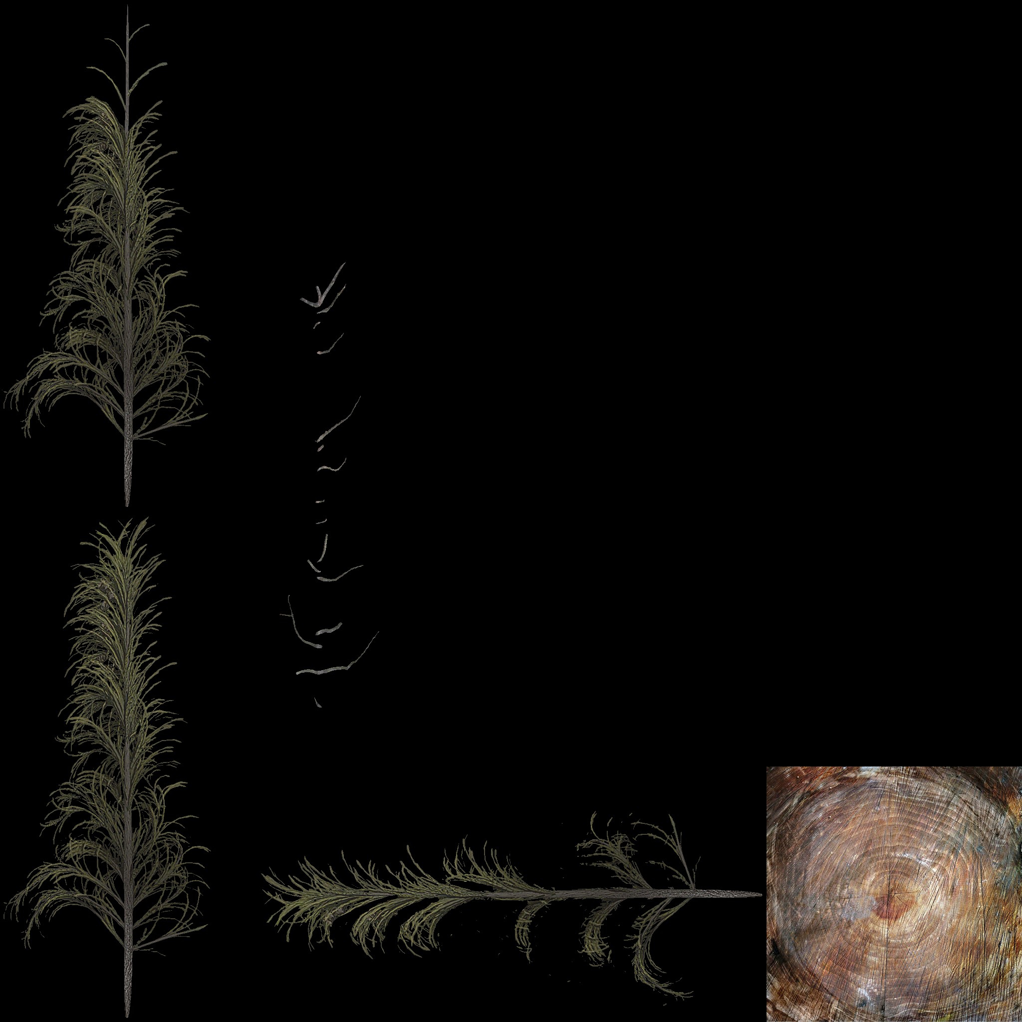 AET801_200_a.jpg