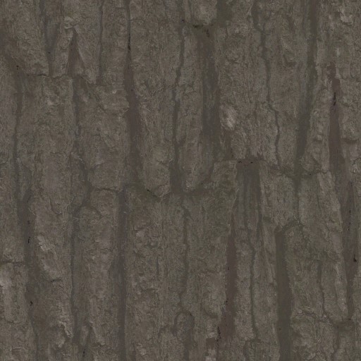 AET801_750_a.jpg