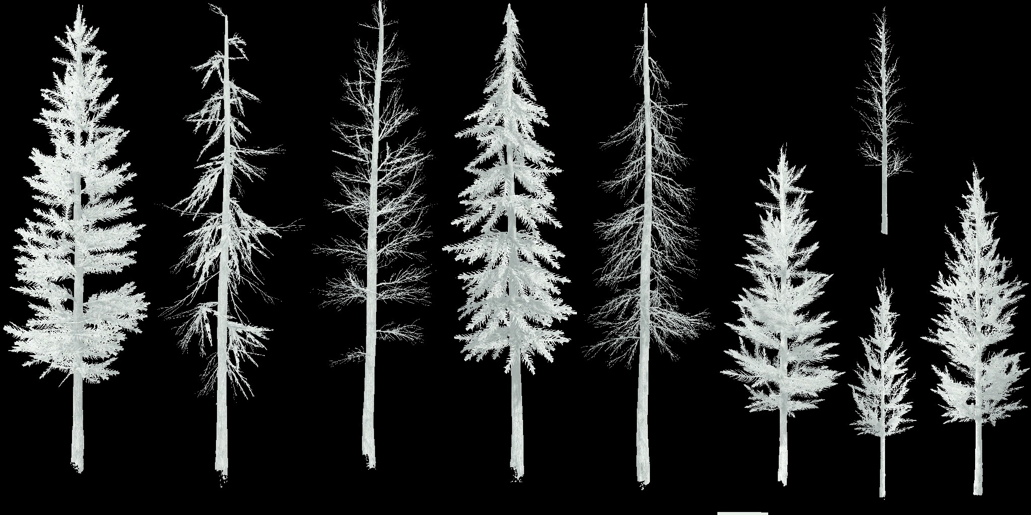 AET802_002_a.jpg