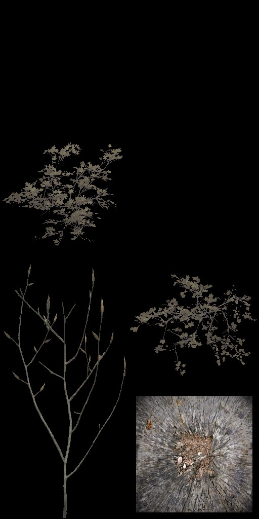 AET811_030_a.jpg