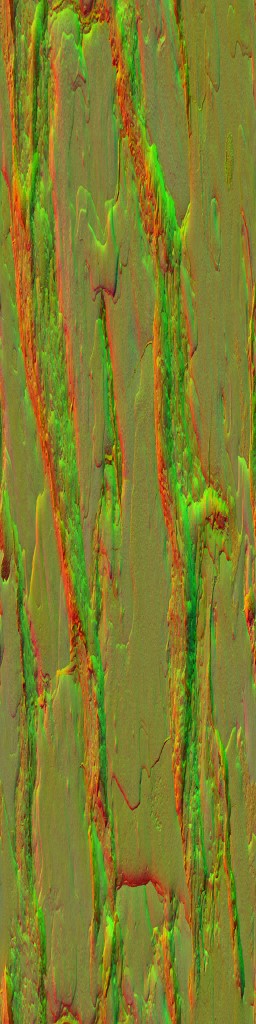 AET813_520_n.jpg