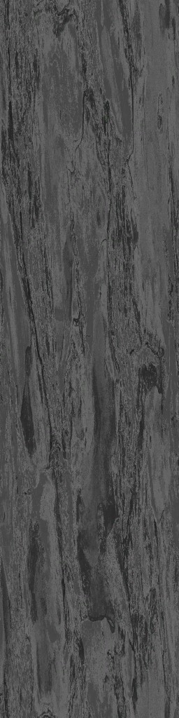 AET813_540_a.jpg