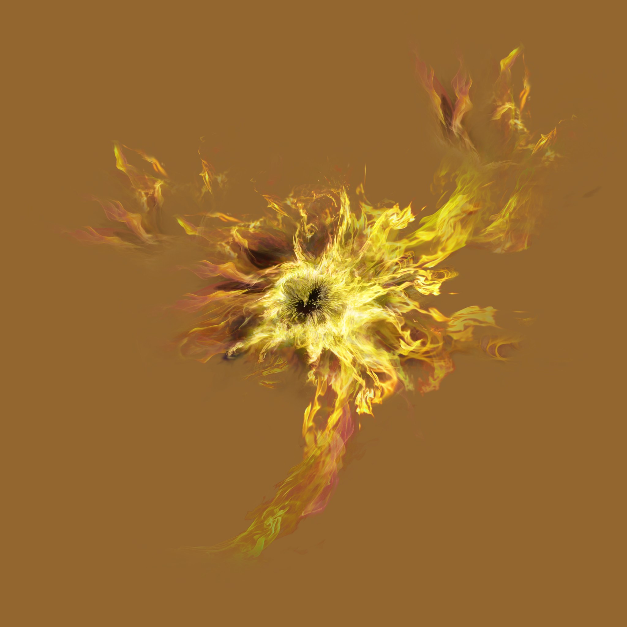 AET820_956_a.jpg