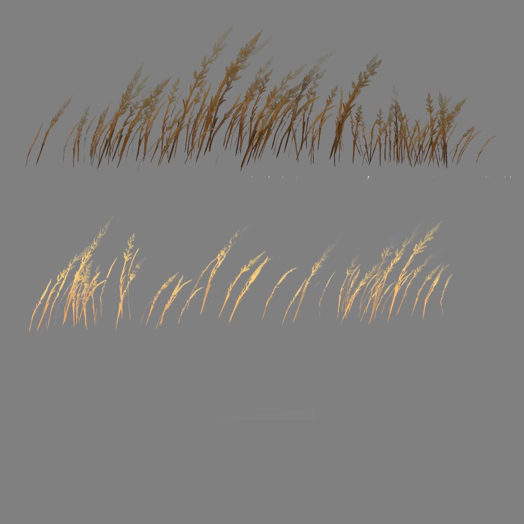 AET995_083_em.jpg