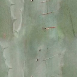 aet005_062_a.jpg