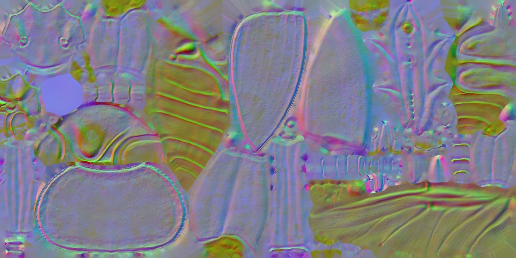 aet005_063_n.jpg