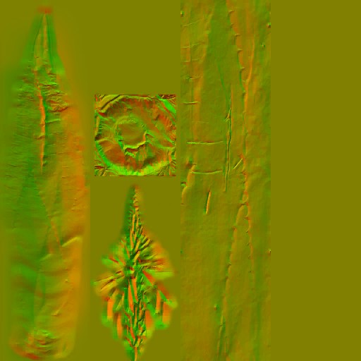 aet005_064_n.jpg