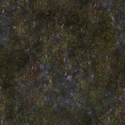 AET000_001_a_l.jpg