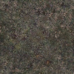 AET000_003_a_l.jpg
