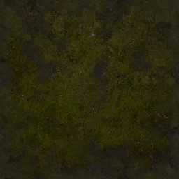 AET000_005_a_l.jpg