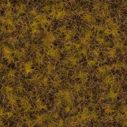 AET000_008_a_l.jpg