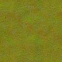 AET000_008_n_l.jpg
