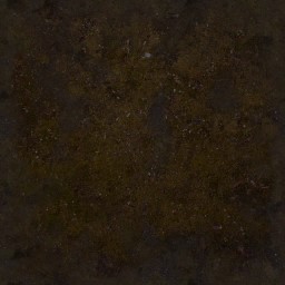 AET000_010_a_l.jpg