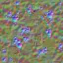 AET000_010_n_l.jpg