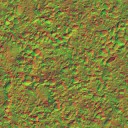 AET000_011_n_l.jpg