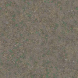 AET000_012_a_l.jpg