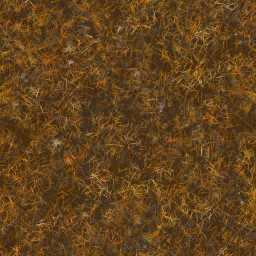 AET000_013_a_l.jpg