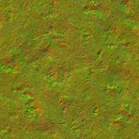 AET000_013_n_l.jpg
