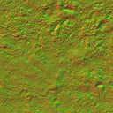 AET000_058_n_l.jpg