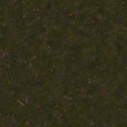 AET000_059_a_l.jpg